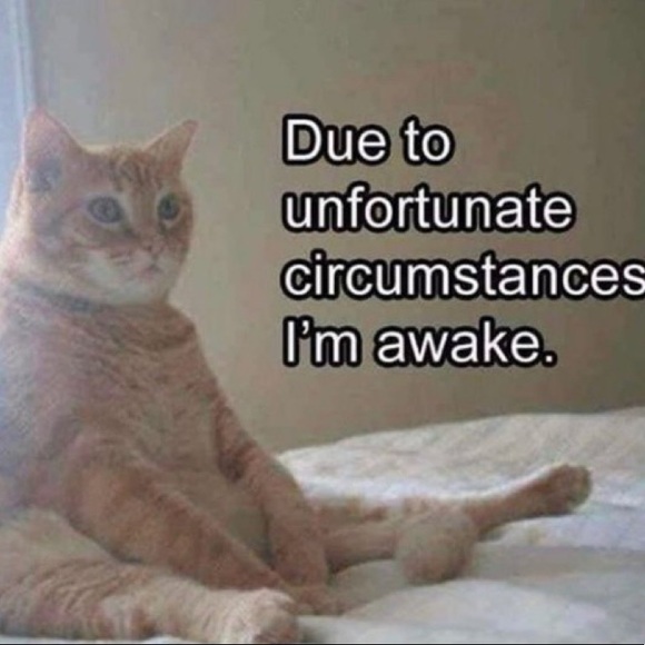 Meet your Posher, Lychee - Picture 1 of 1